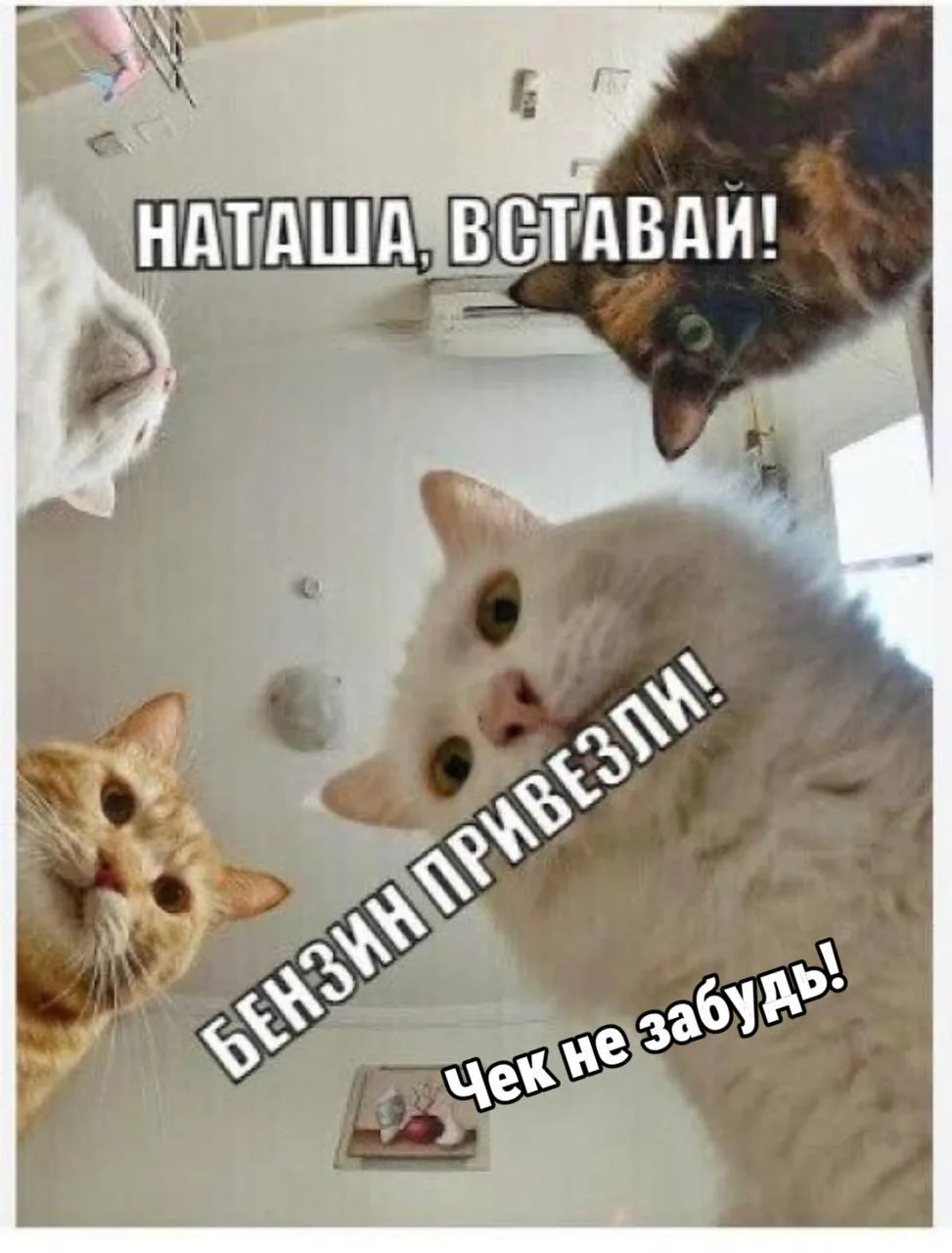 На петербургских АЗС уже начал появляться бензин классов К4, К3 и даже К2 — топливо с п...