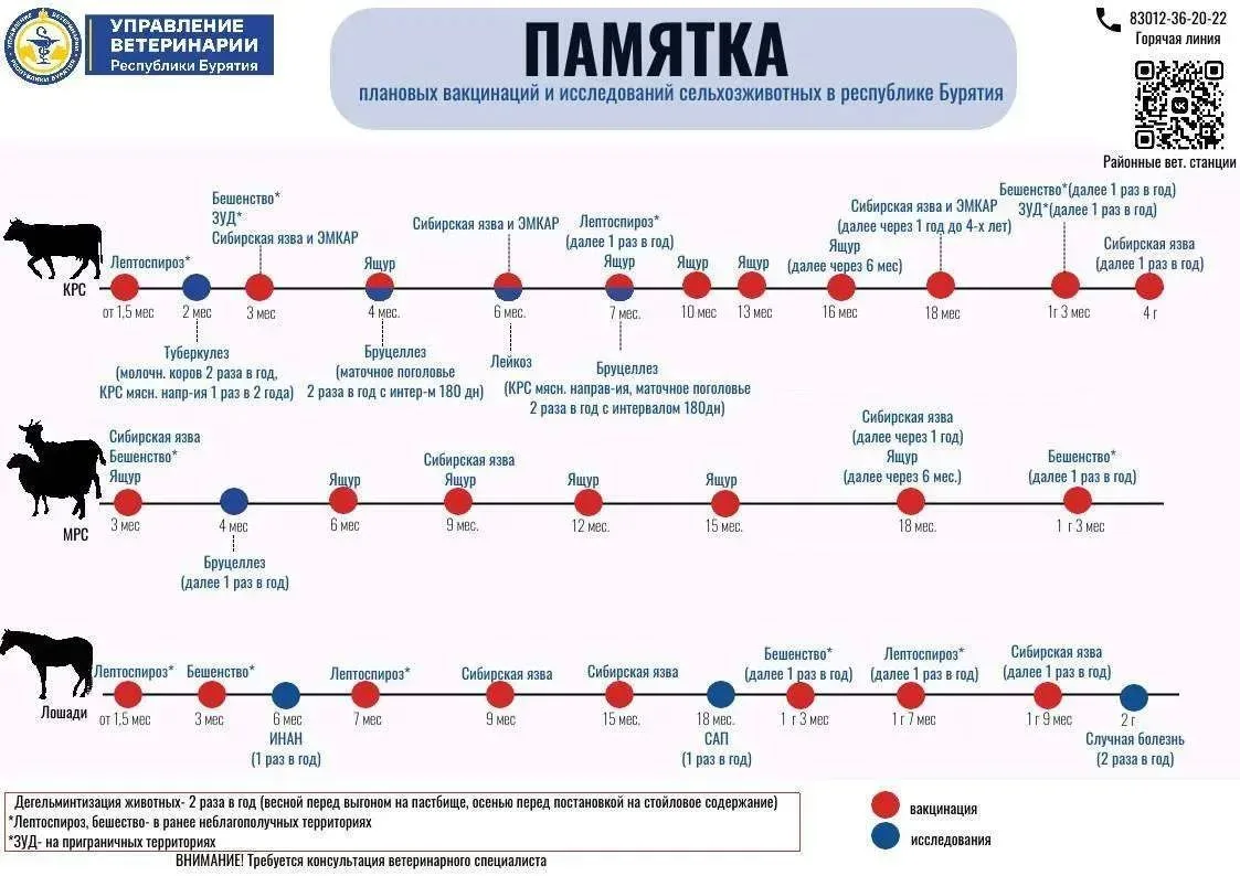 📣О профилактических