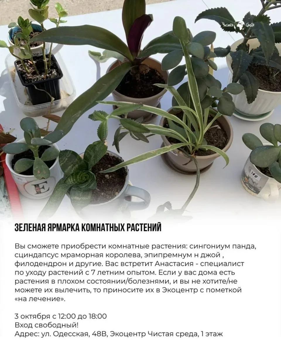 3 октября, суббота