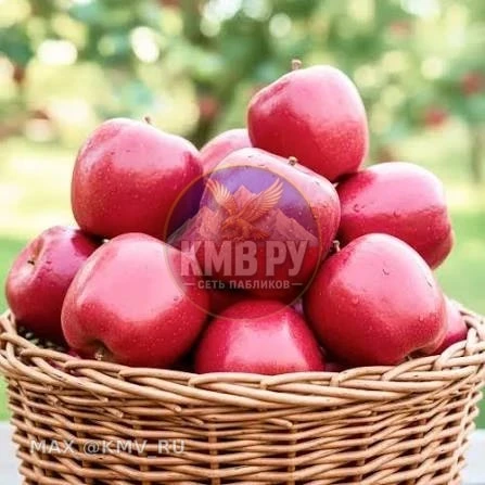 • 🛒 Большая осенняя сельскохозяйственная ярмарка: