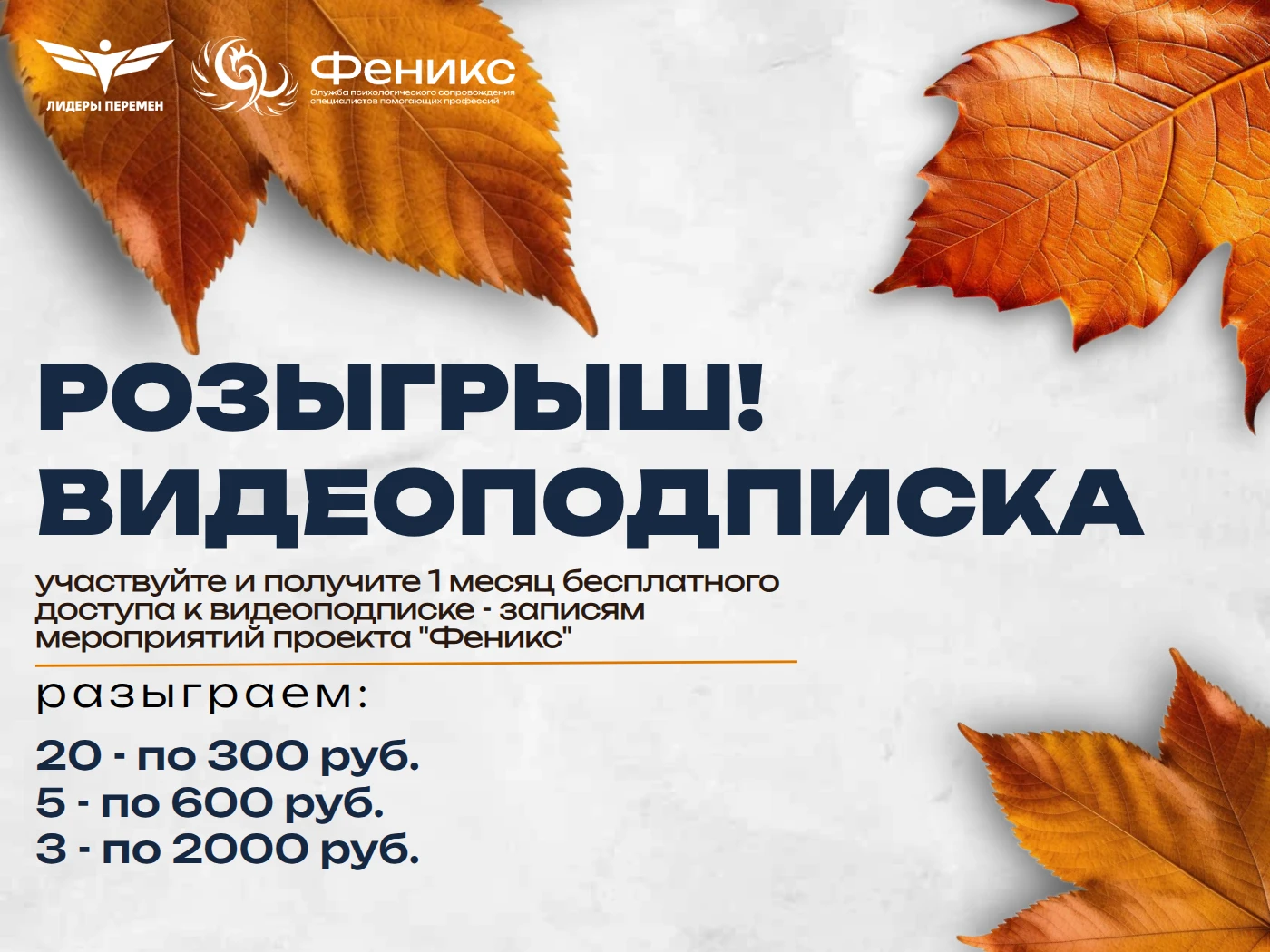 🎁 РОЗЫГРЫШ! Только сегодня 8 октября, дарим доступ к видеоподписке на 1 месяц 28 счаст...