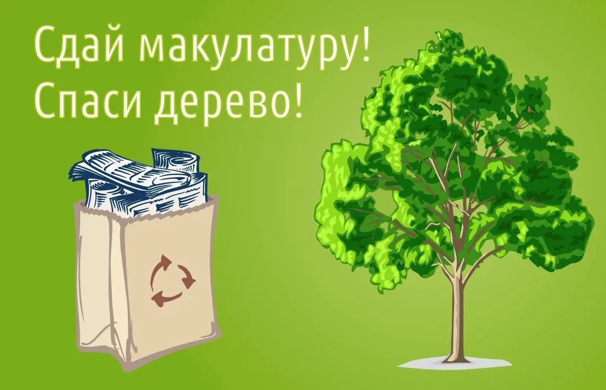 🌿 «Бумажный бум» в Духовщинском округе: спасаем леса сообща!