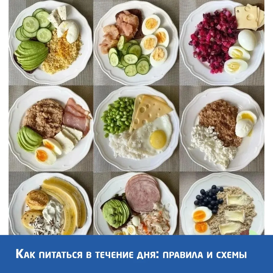 ⚡Как питаться в течение дня: правила и схемы. Рассказывает наш диетолог Татьяна Касаткина.