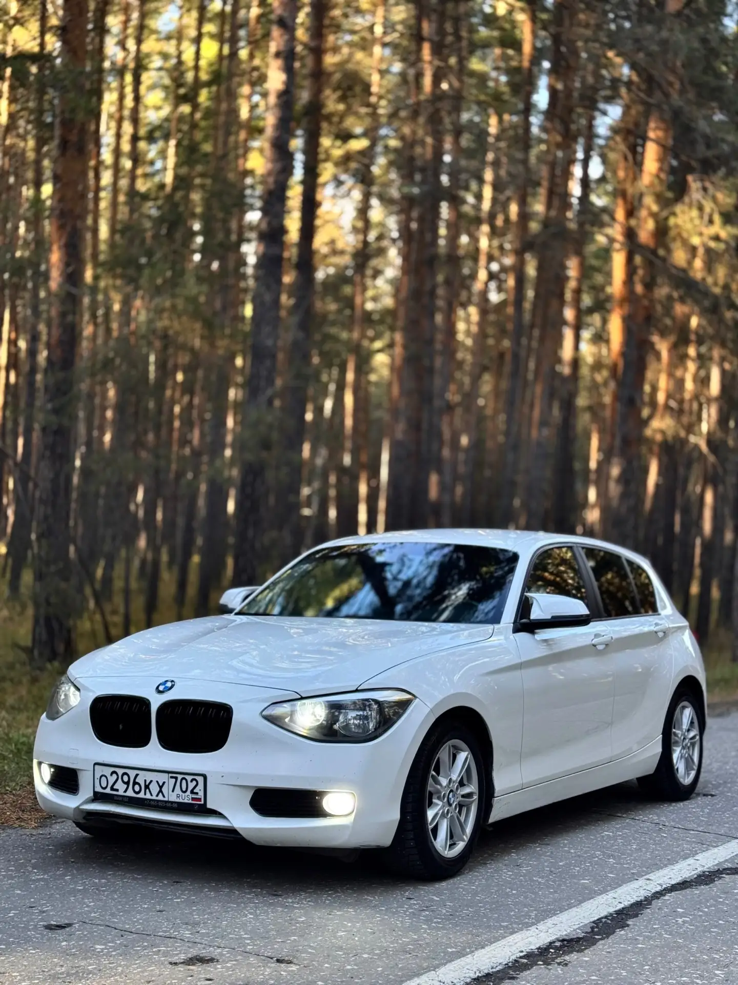 BMW SERIE 1, 2013год