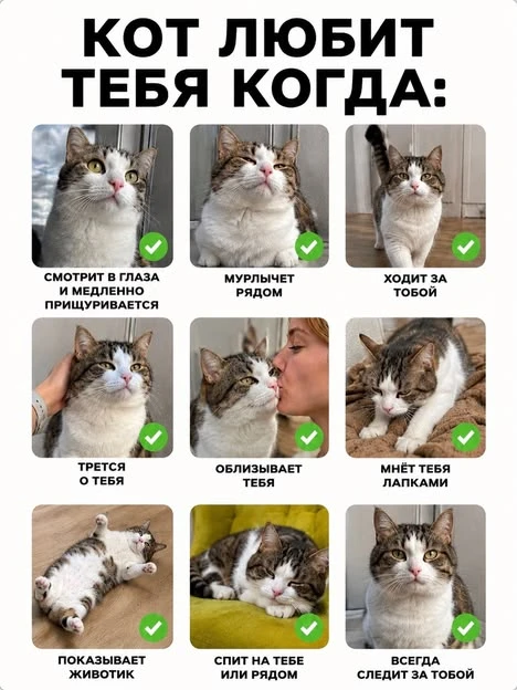 Место силы🌱Подписаться