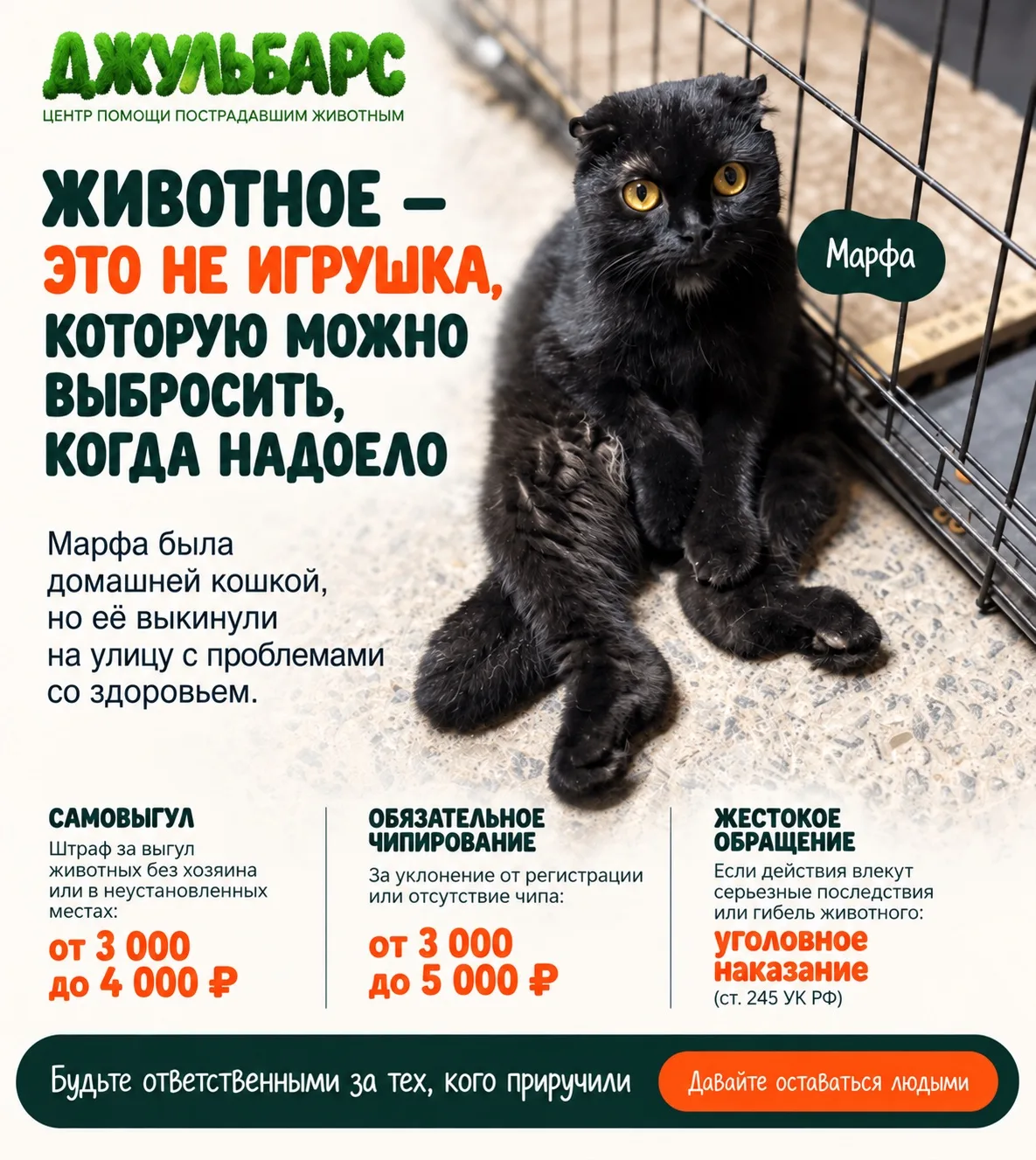 Каждый день мы получаем десятки сообщений с мольбой о помощи. За каждым из них - травма...