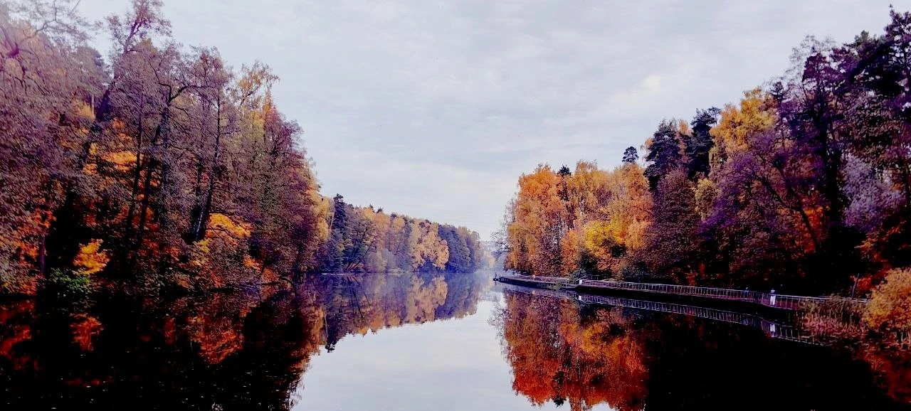 ПОНРАВИЛАСЬ 🍁 БАЛАШИХА