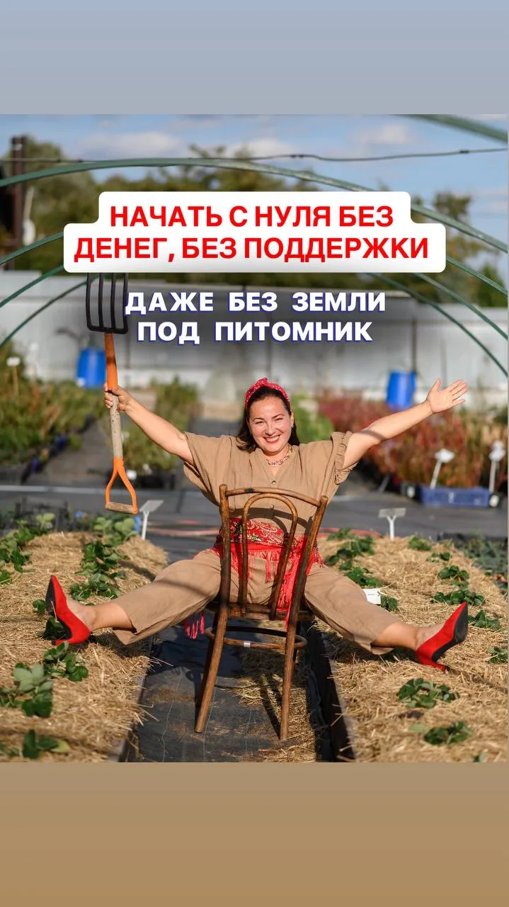 Всё как мы любим, это уже классика😂