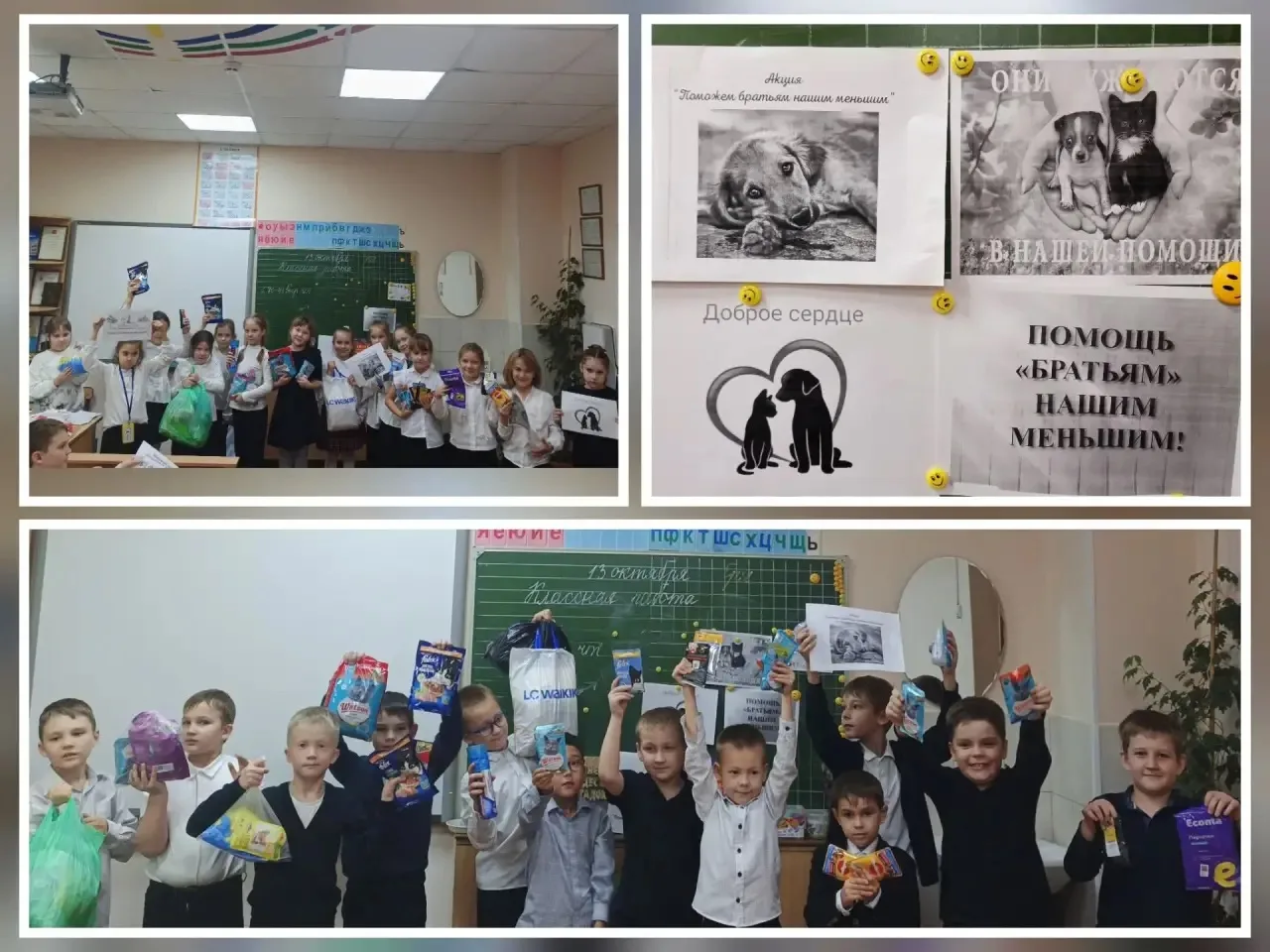 🍁Добрые -щедро больным помогают.