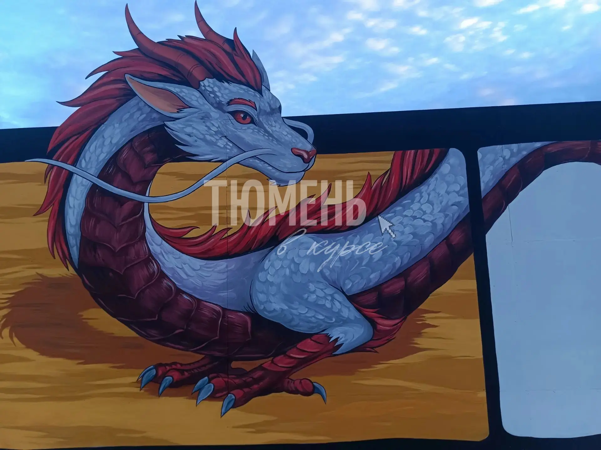 🎨 Забор в Речном порту украсили яркие муралы