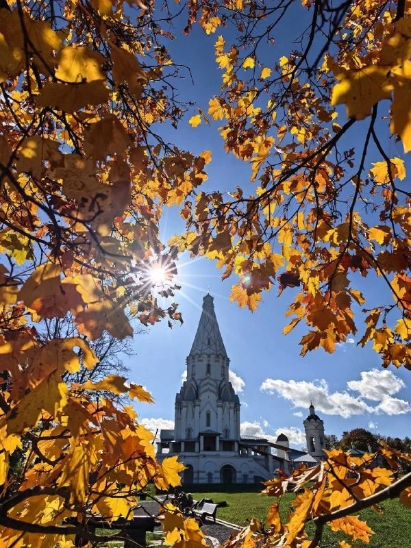 Красивое утро в Коломенском🌼