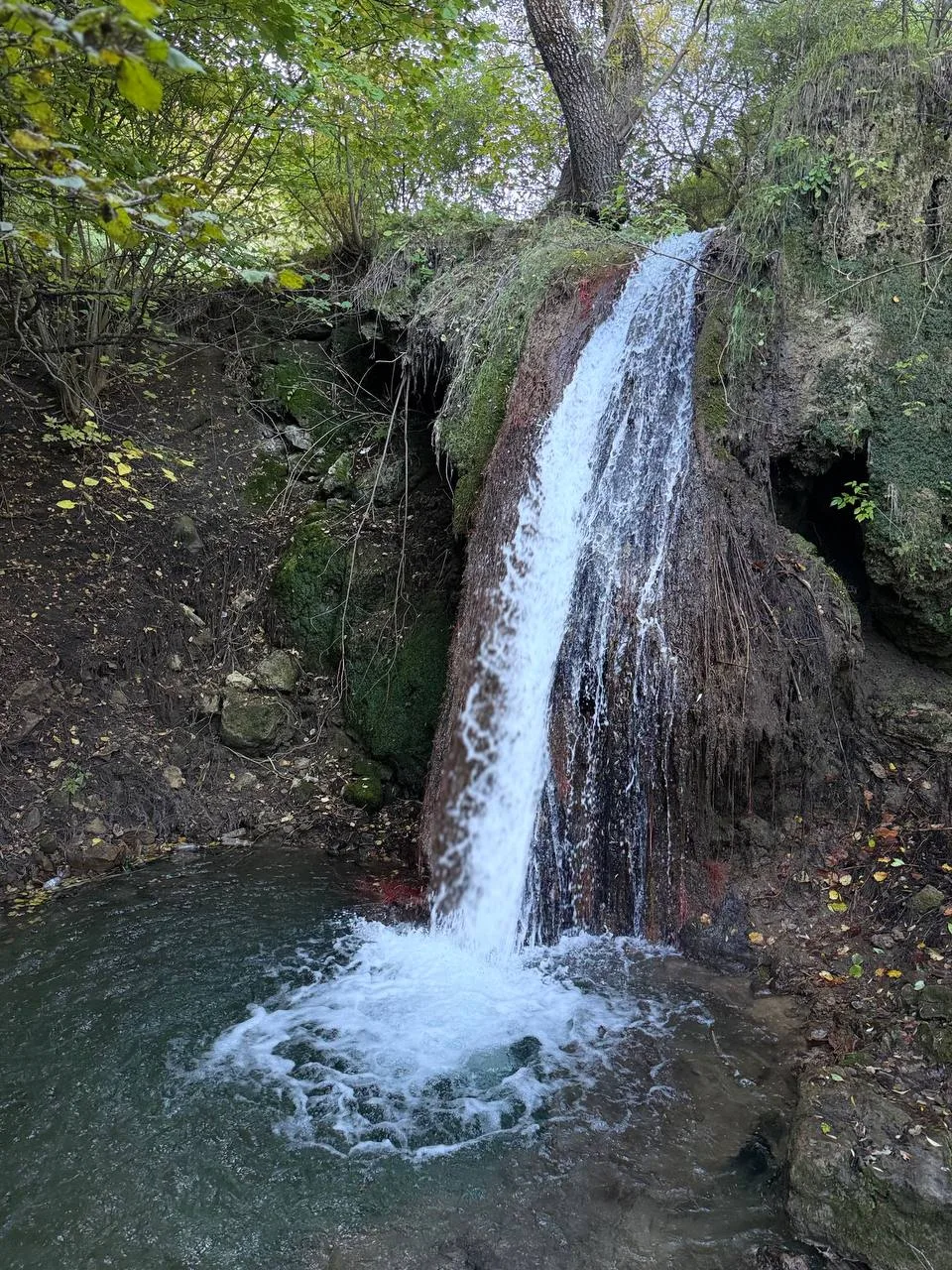 ⛰️Медовые водопады — место, где Кавказ шепчет свои самые сладкие легенды. ✨
