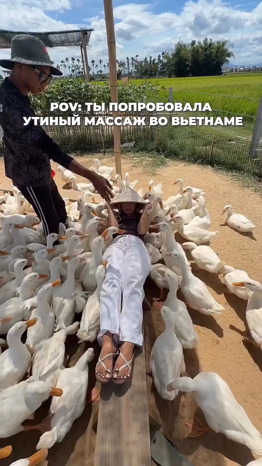 Видео: https://vk.ru/clip-59717399_456241082