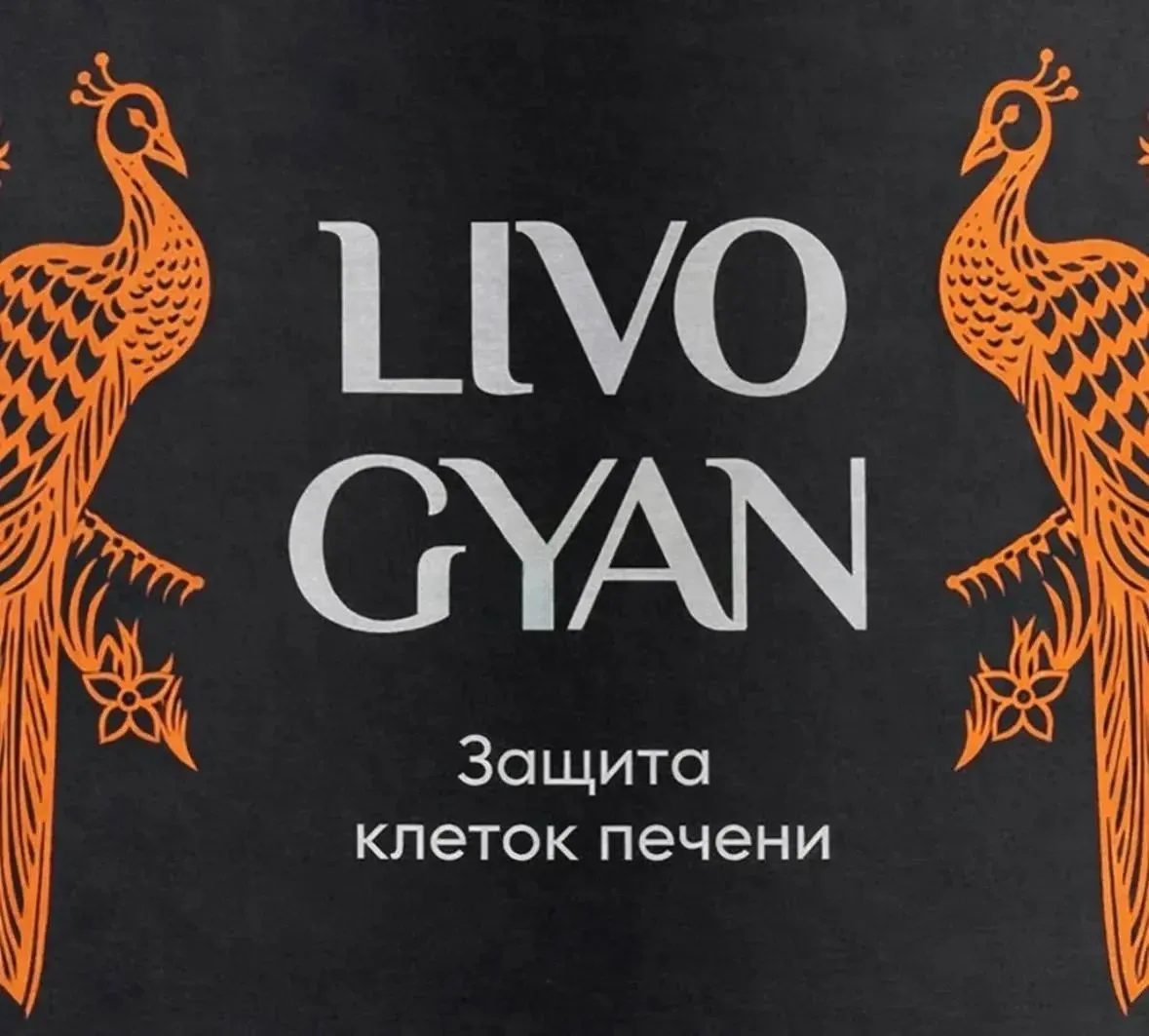 🧡 LIVO GYAN — защита и восстановление печени!