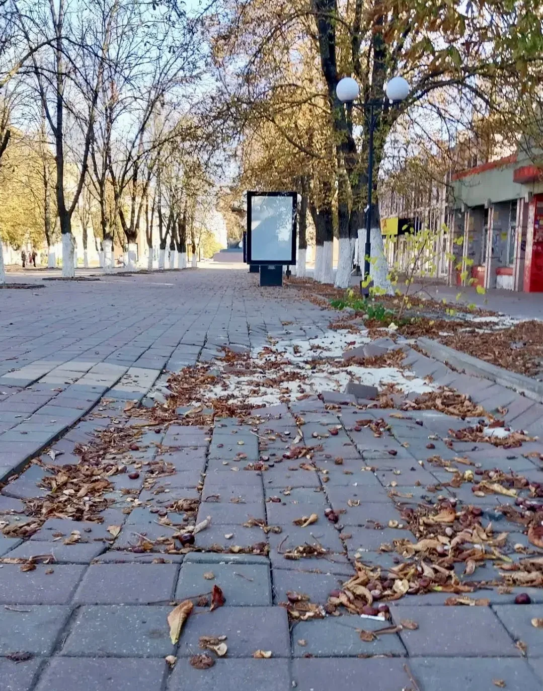 Центр Шахт. Плитка решила немного уйти под землю 😁