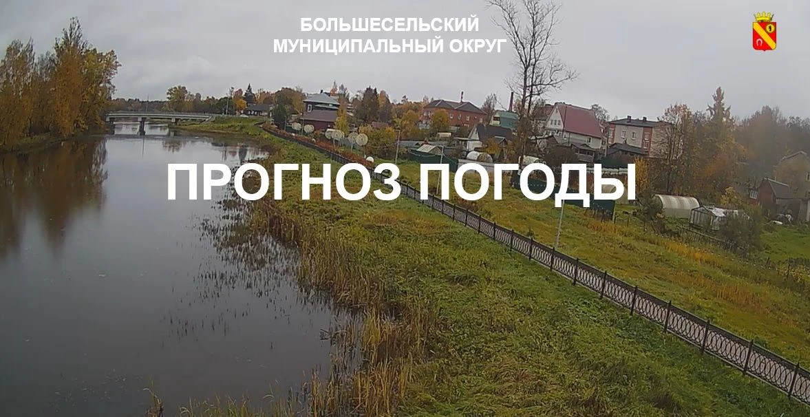 Прогноз погоды на 15 октября в Большесельском округе