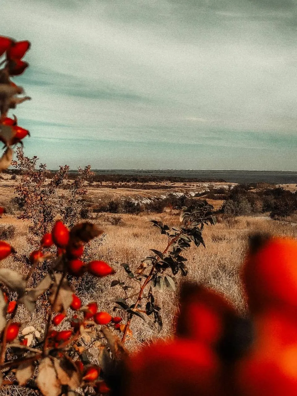 Утес Степана Разина 🍂
