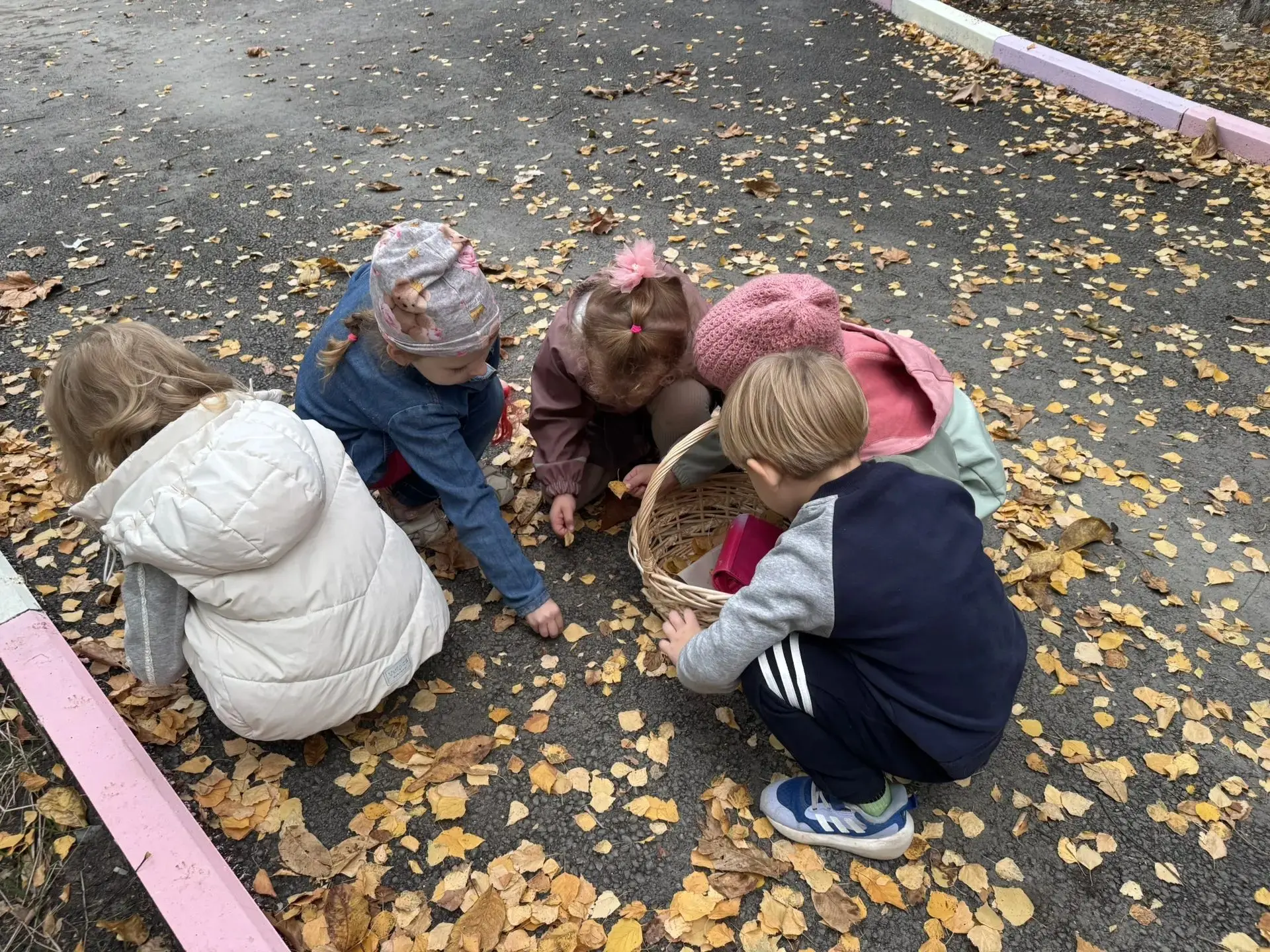 🍁🦔 ОСЕННИЕ ПРИКЛЮЧЕНИЯ: ПОМОЖЕМ ЁЖИКУ! 🍂✨
