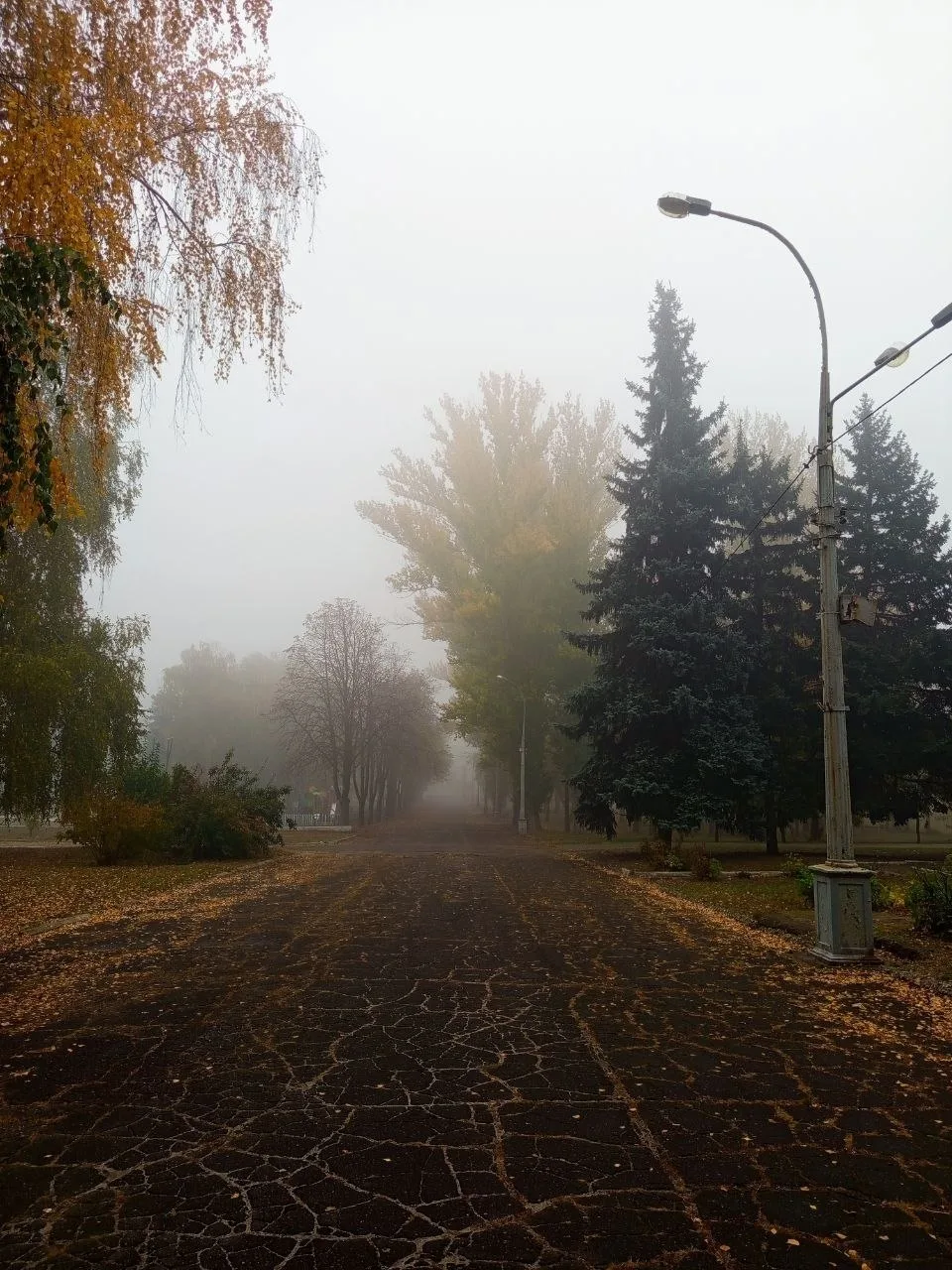Сегодня в городе туман, 11 октября 2026г.
