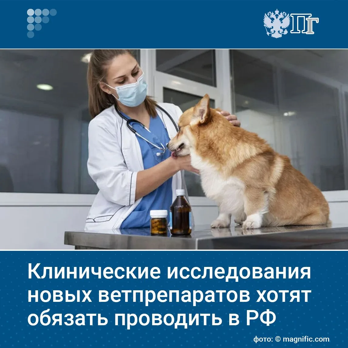 В России планируют обязать проводить клинические испытания ветеринарных препаратов. Так...