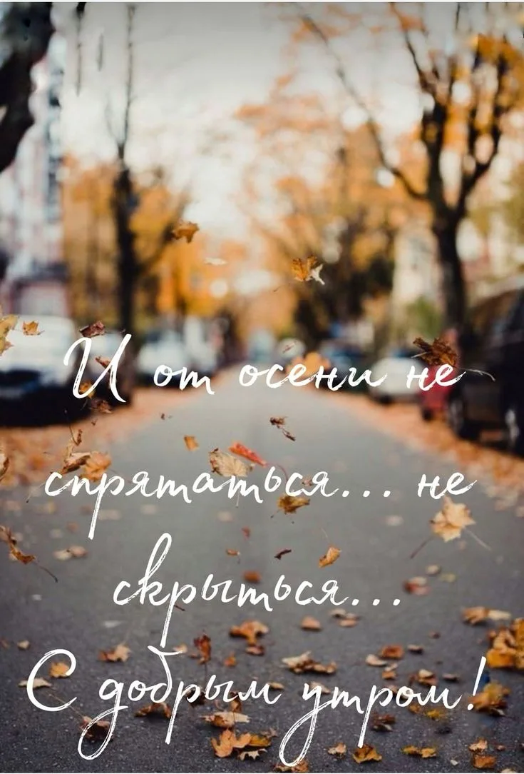 Доброе утро! ☀️