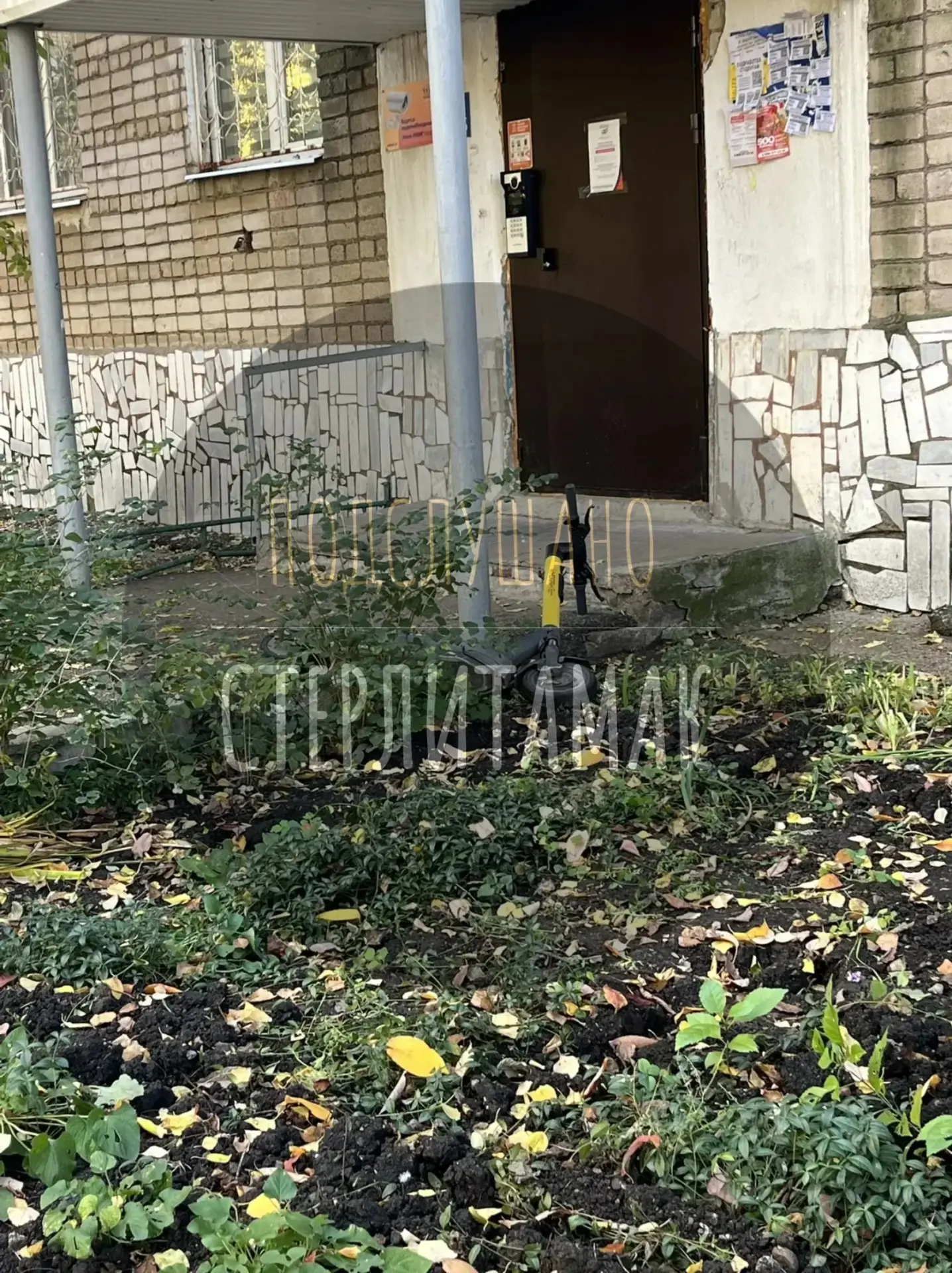 (от подписчицы)