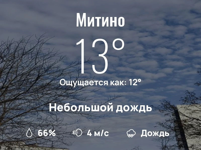 Что с погодой в Митино?