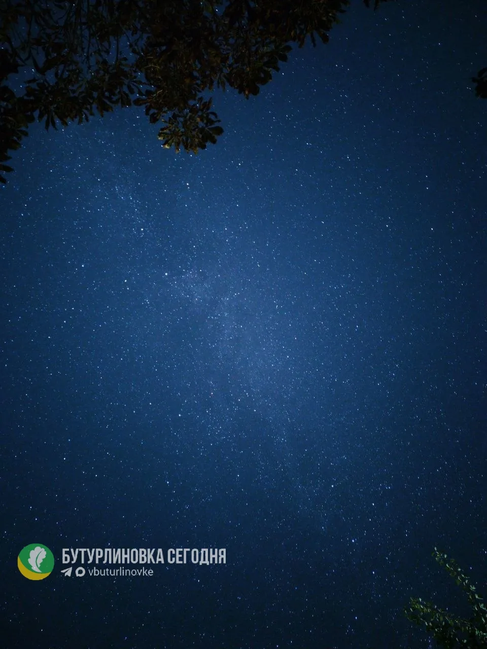 ✨ Ночное небо
