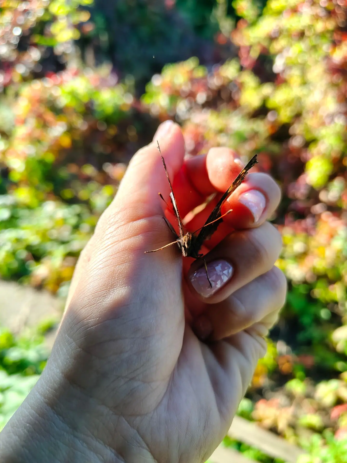 Вот и лето пролетело... 🦋✨