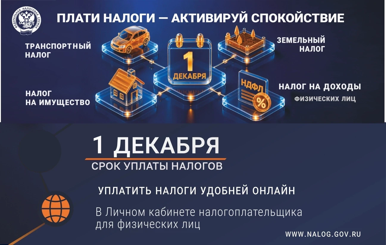 До 1 декабря нужно заплатить налоги