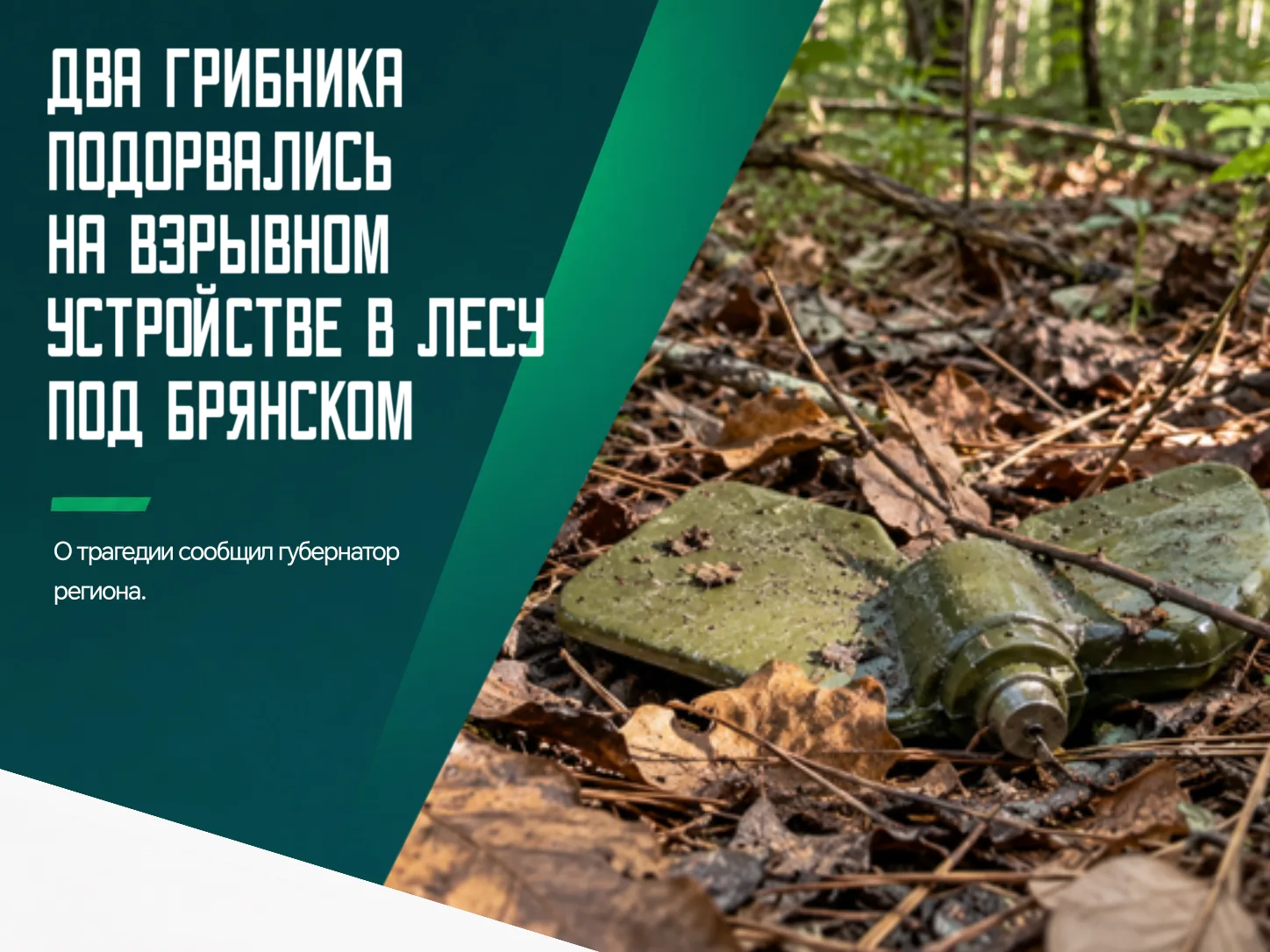 😭 В Дятьковском районе вблизи деревни Верещовка на взрывном устройстве в лесу подорвал...