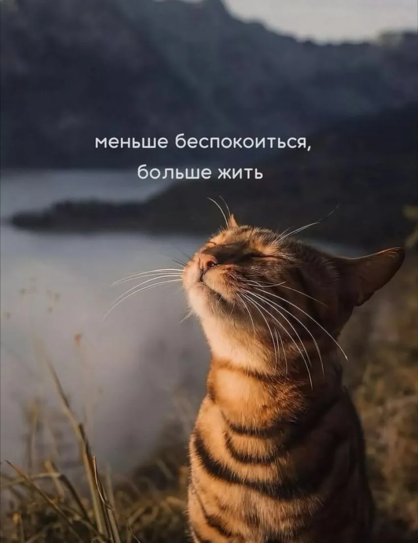 Суббота — это день, когда время замедляет свой бег, а мир погружается в глубокую тишину...