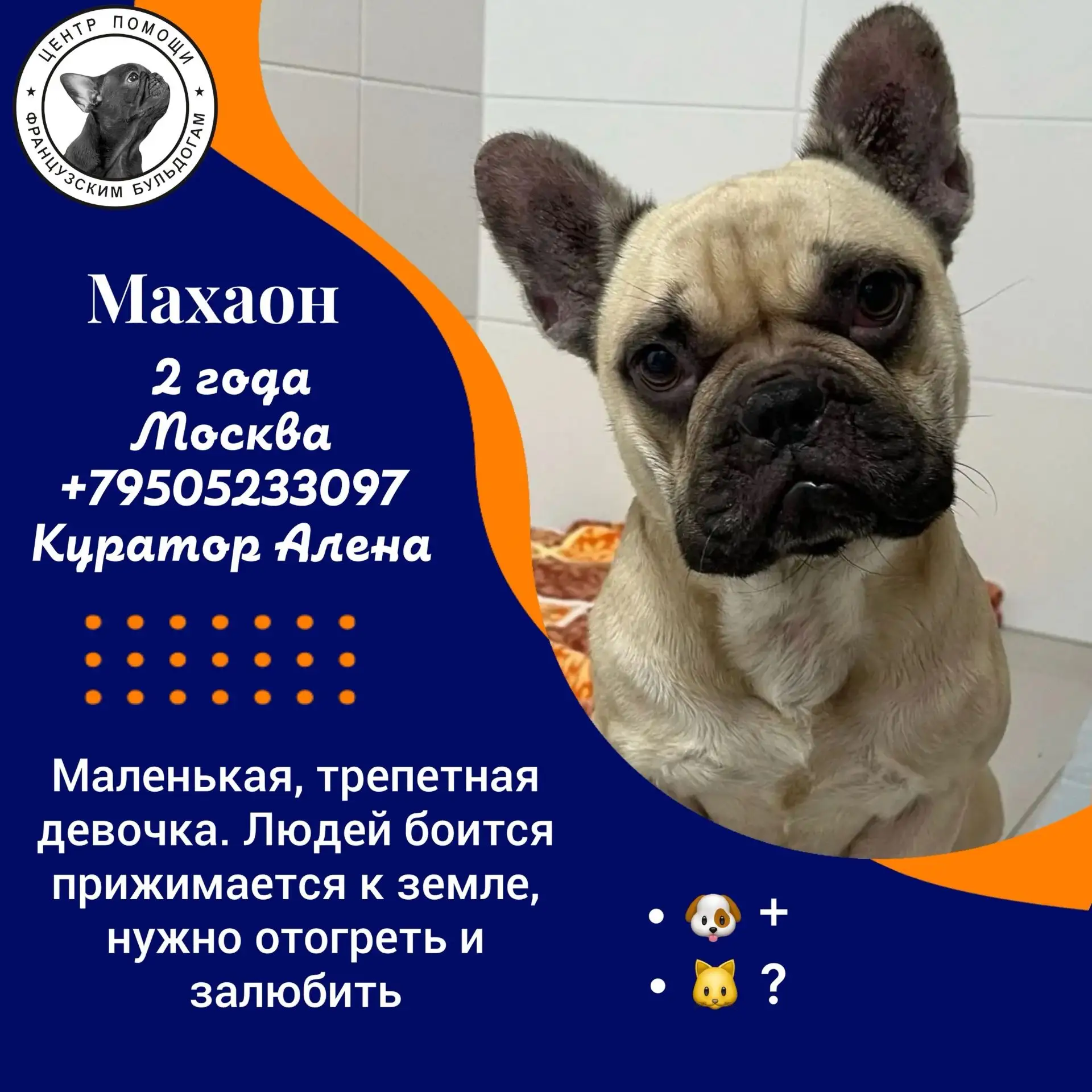 Махаон. Девочка, которая увидит мир впервые ✨