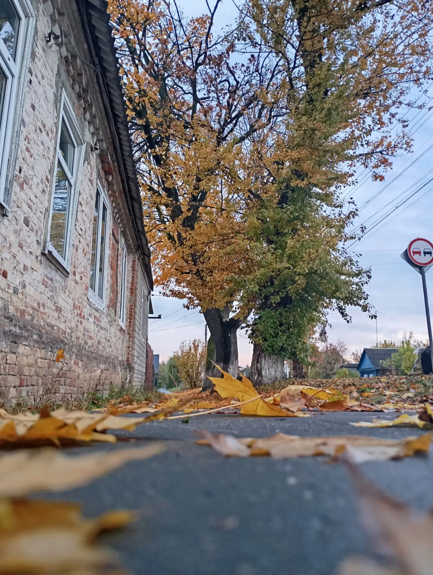 Осень в Климово🍁🍁🍁