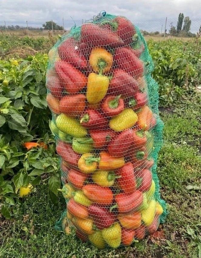👍Скромный урожай из перцев