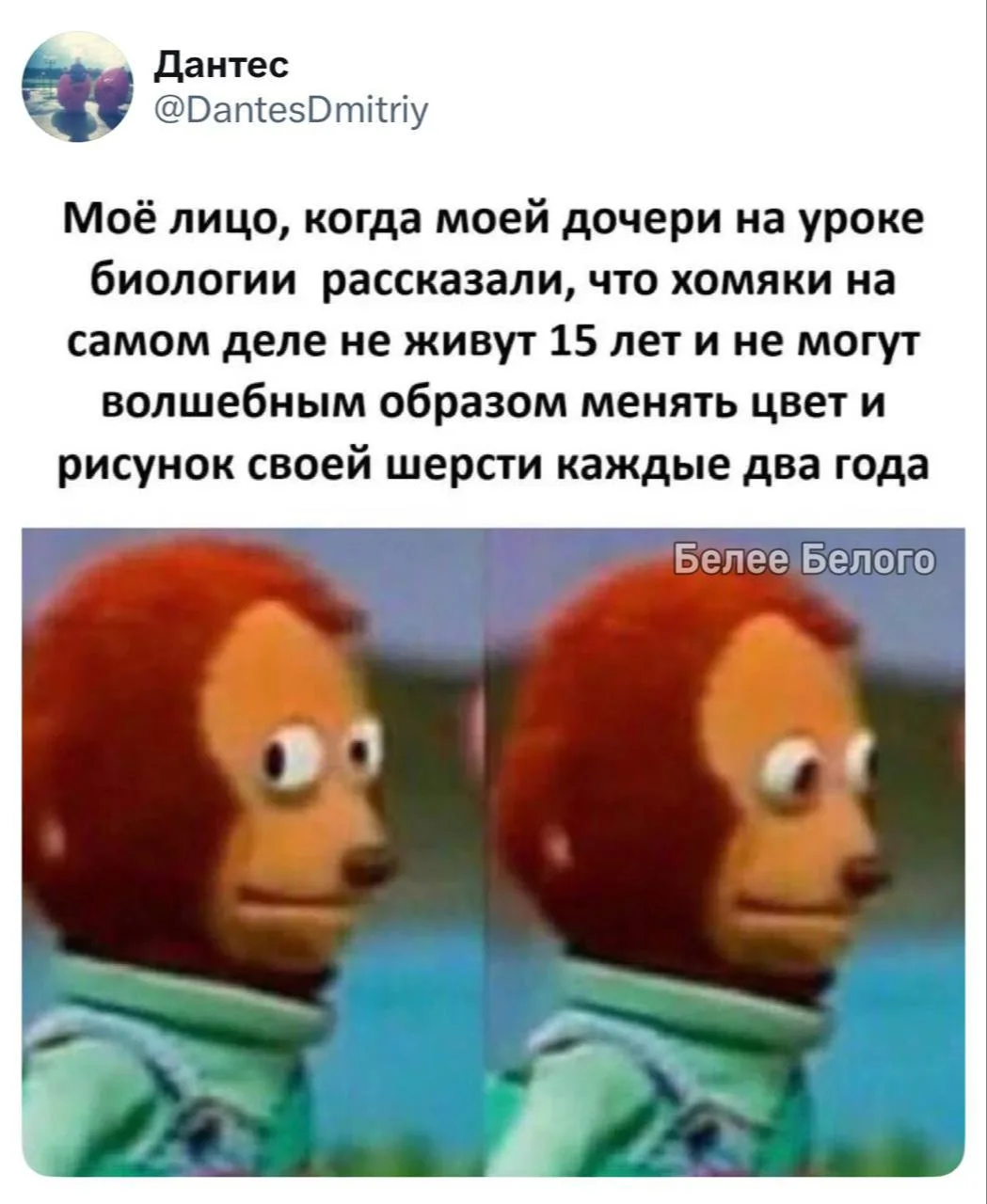 🐈‍⬛ Белее белого