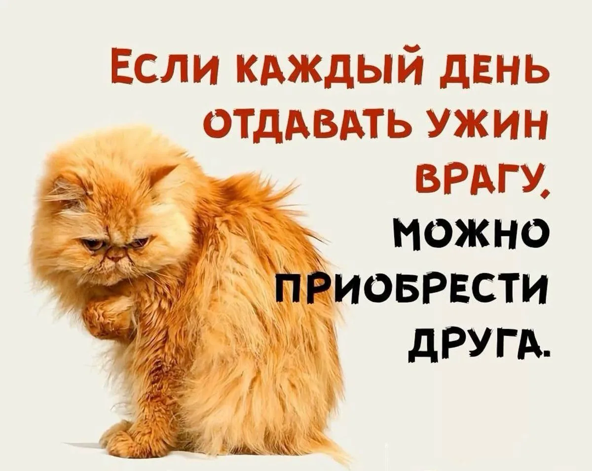 #пожелания