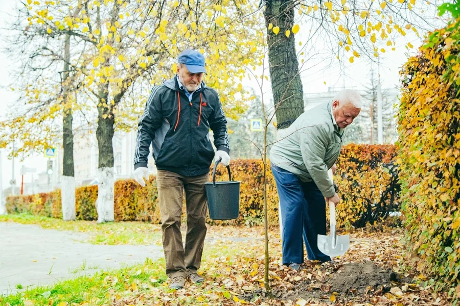 В сквере у Городских рядов на Кольцова высадили липы, кусты сирени, гортензии, жасмина ...