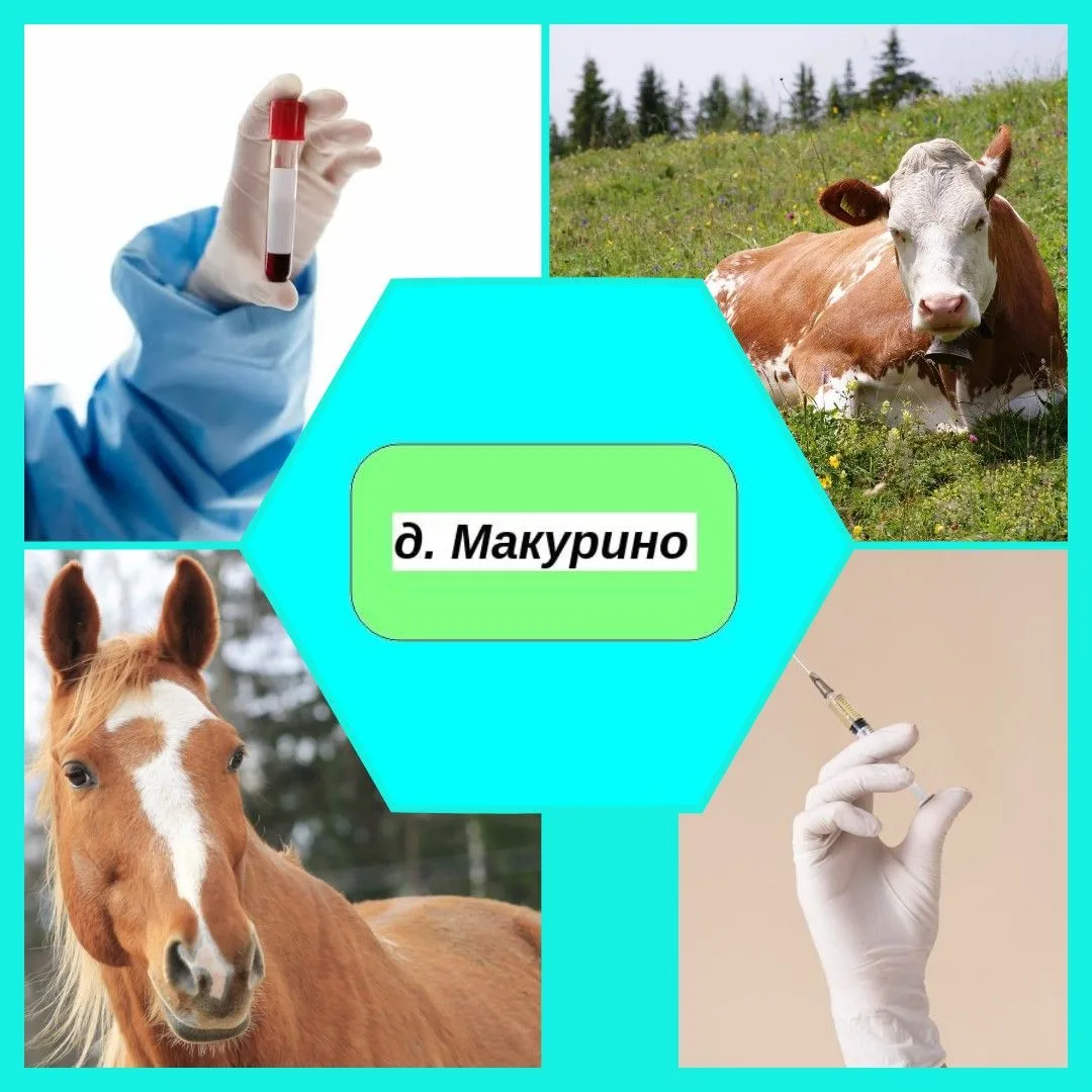 📣 Уважаемые жители: