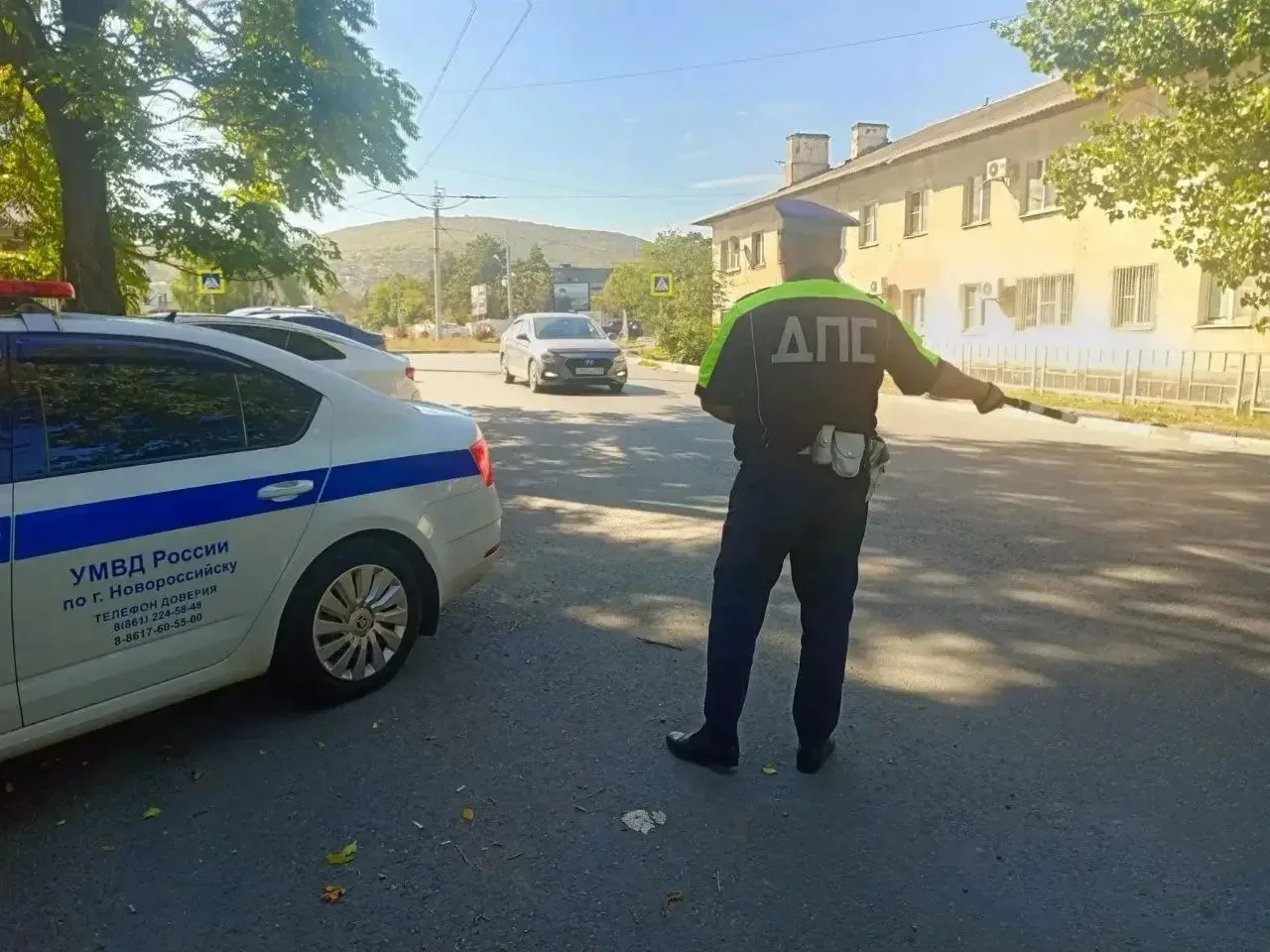 За девять месяцев этого года на дорогах Новороссийска погибли 17 человек. Кроме того, в...