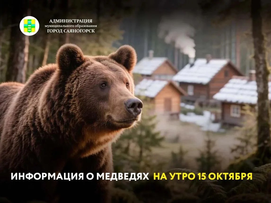 Ситуация с медведями в муниципальном образовании город Саяногорск за сутки на 15 октябр...