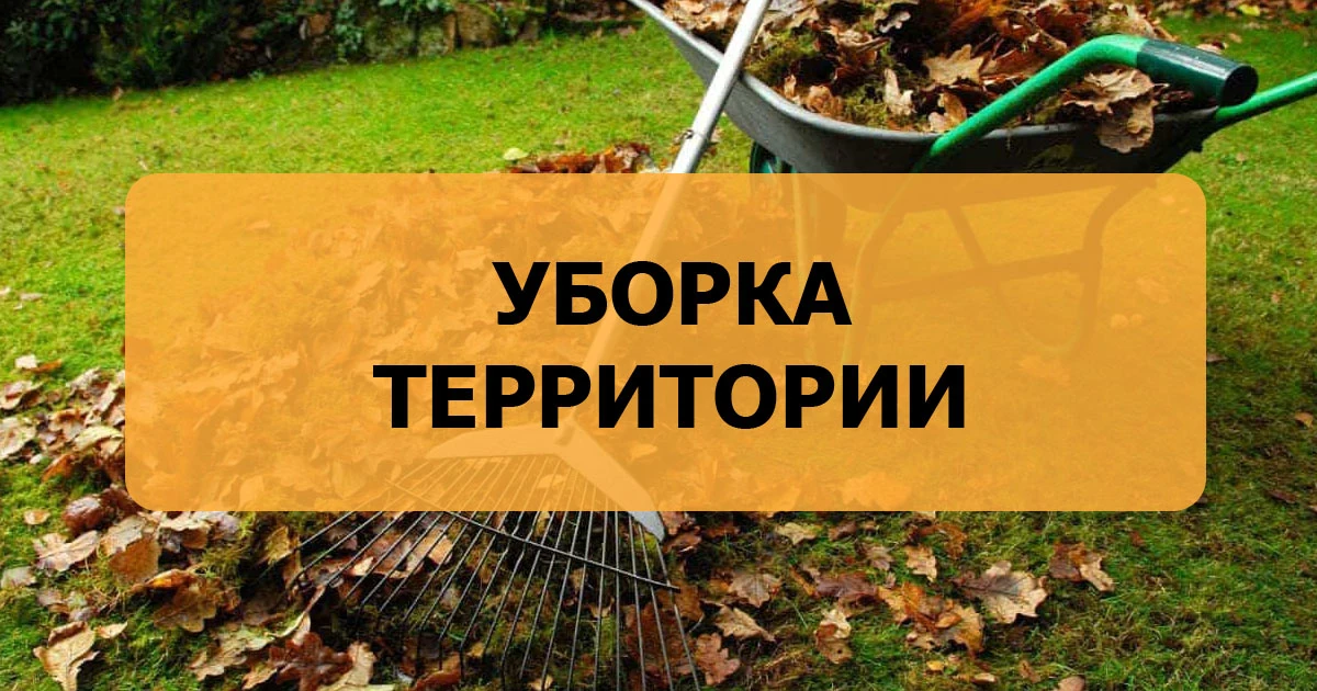 На улице прекрасная погода!