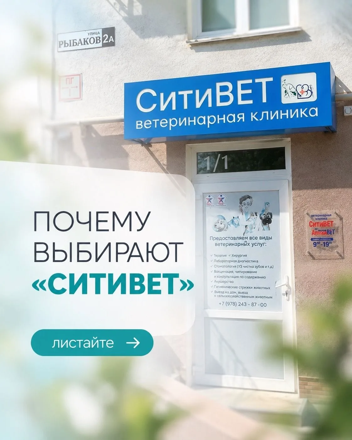 🐶 «СитиВЕТ»: когда питомцу нужна помощь — мы рядом!