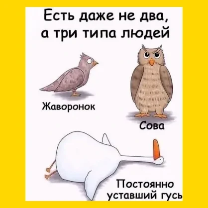 Полный Хохотамбл! Подпишись скорее