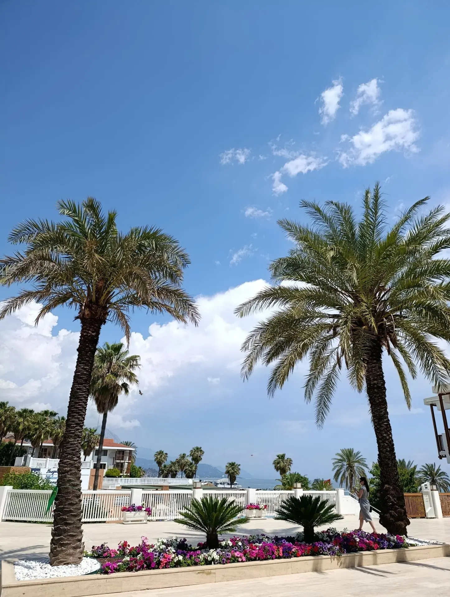 🌴ТУРЦИЯ 🇹🇷ЛЕТИМ  НА КАНИКУЛАХ