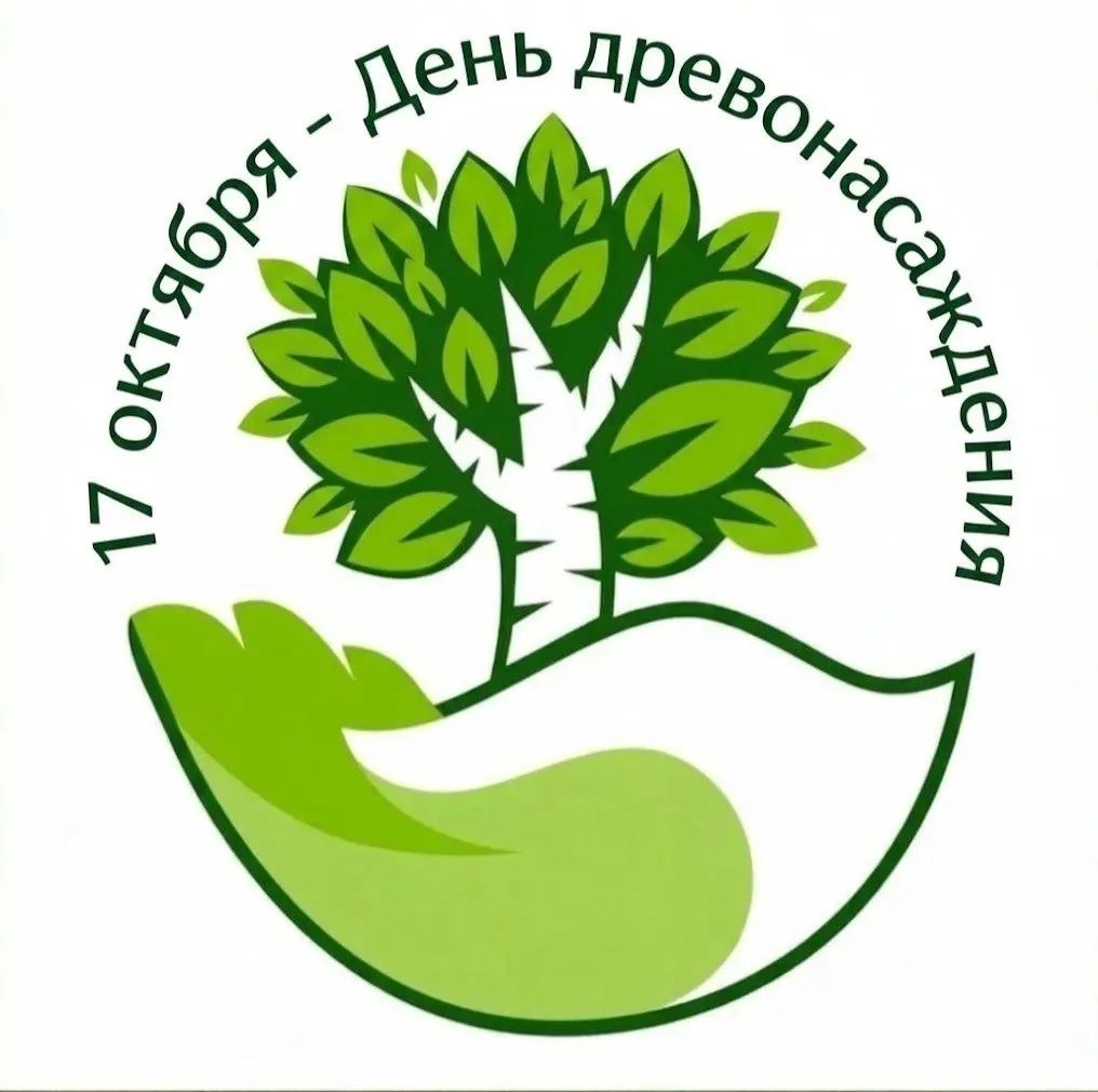 Глава Таганрога Светлана Камбулова сообщает:
