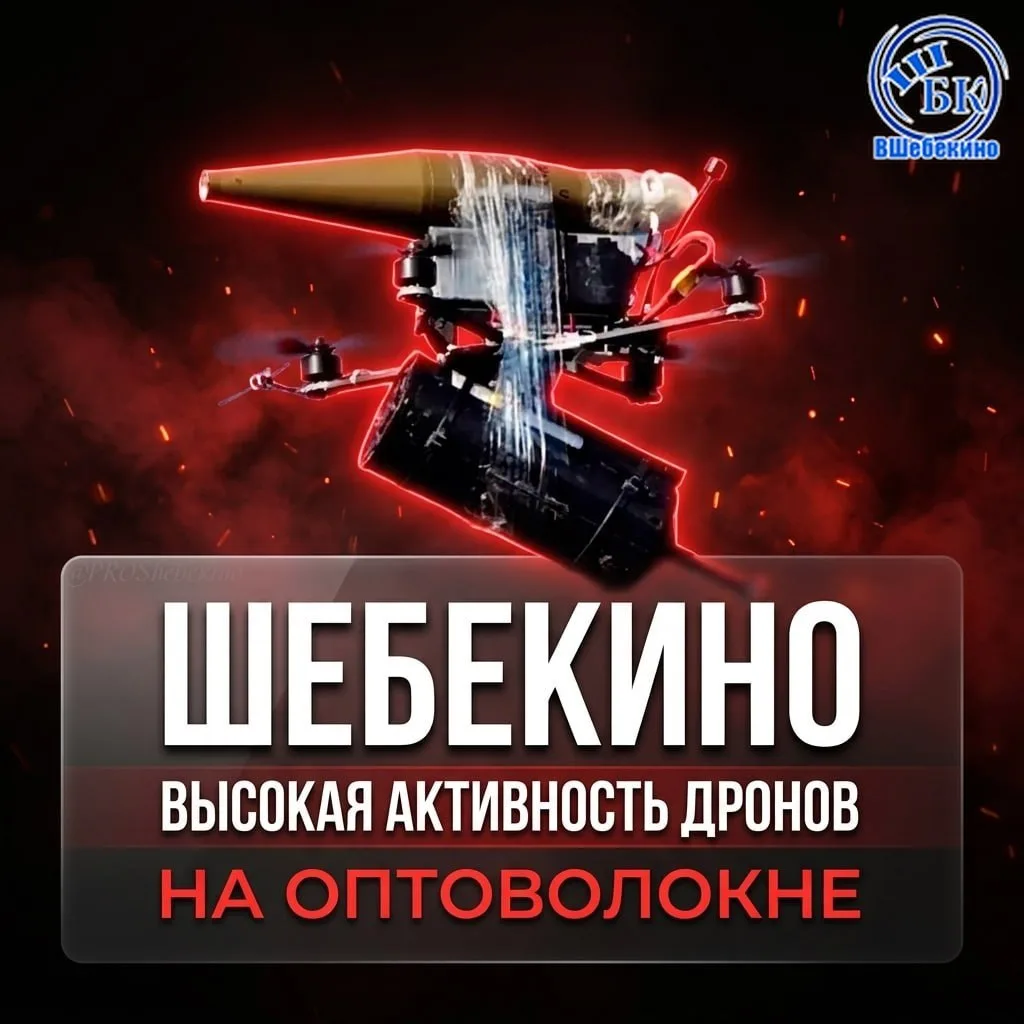 🚨 ВНИМАНИЕ, ШЕБЕКИНО!