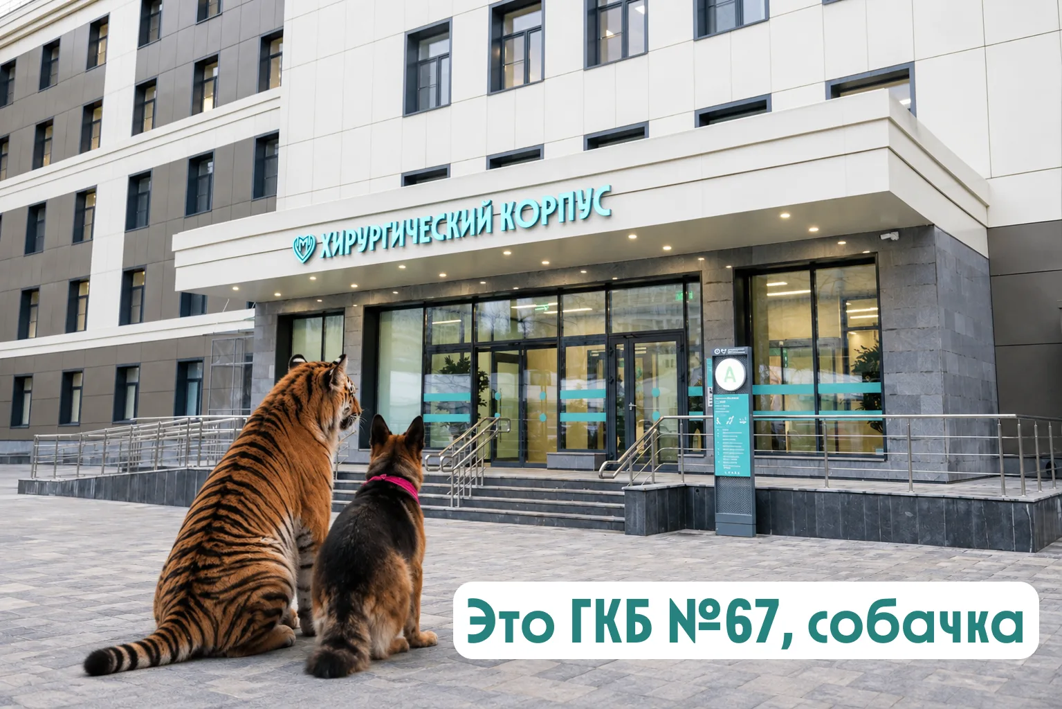 🐕🐯 Собачка и тигр добрались до ГКБ №67