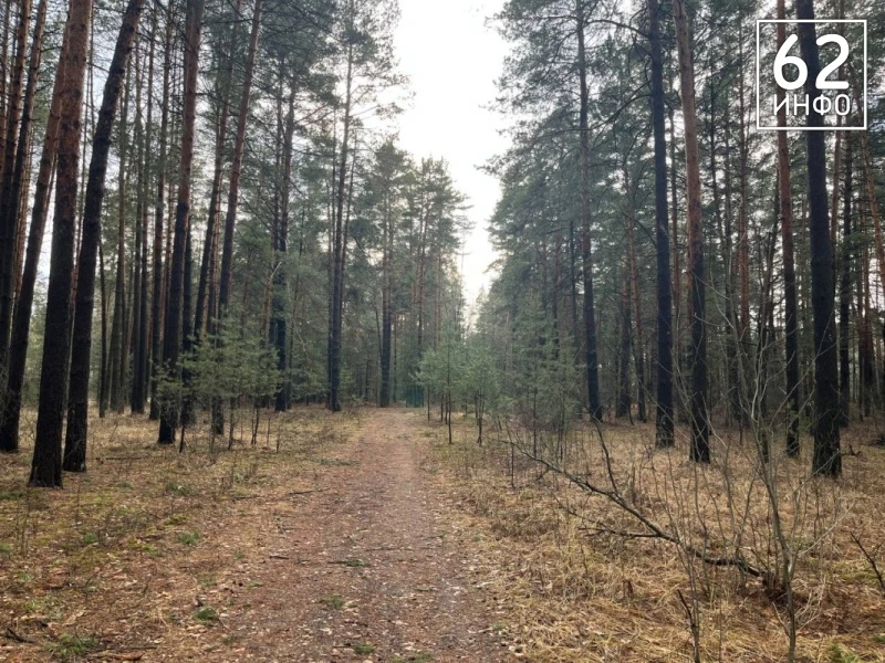 🫎 Такие встречи смертельно опасны.