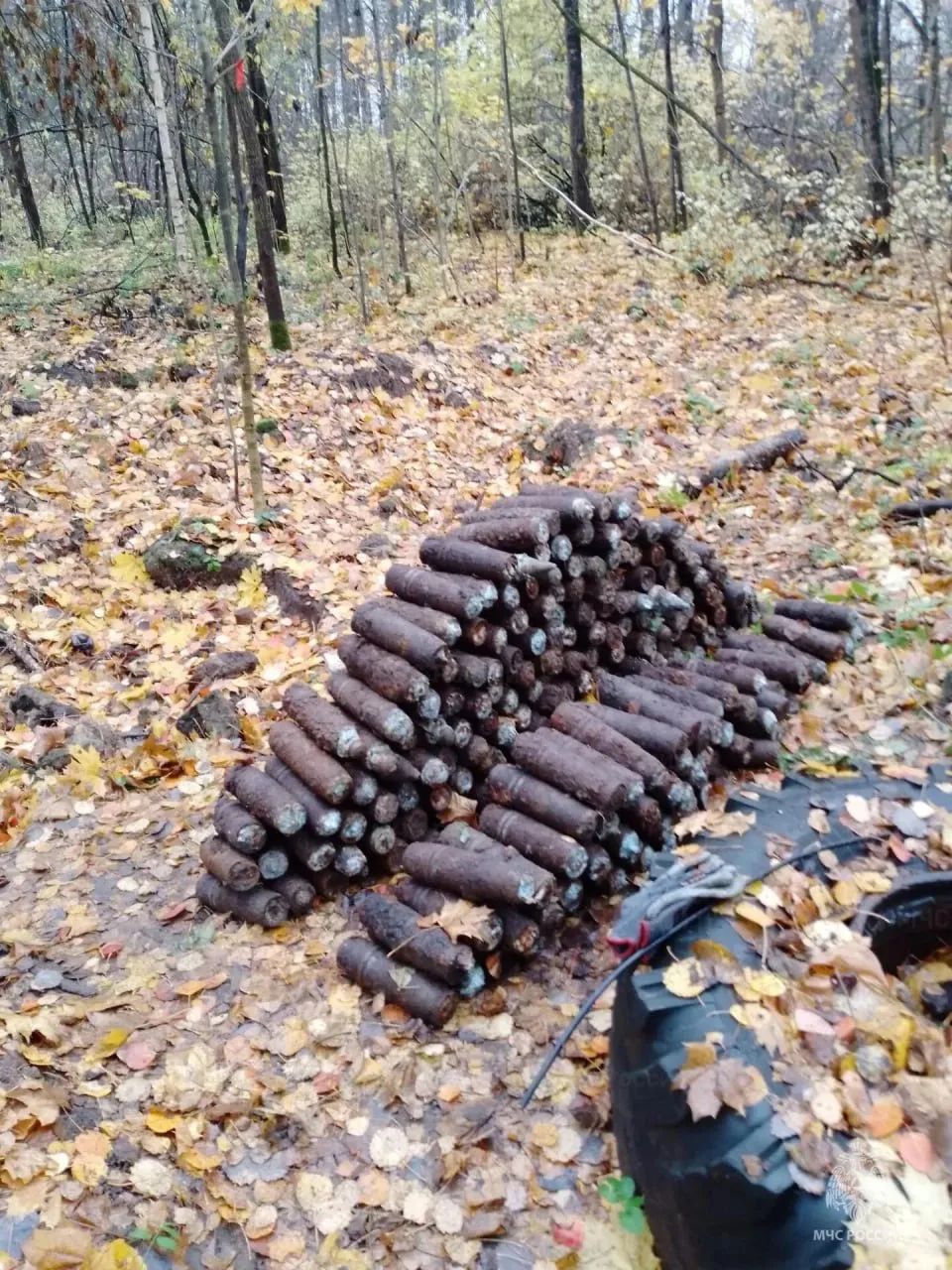 В Калуге нашли схрон с 237 боеприпасами